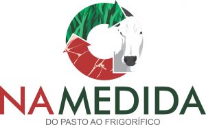 NA MEDIDA – LOGO